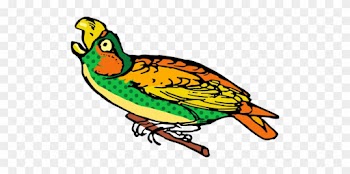 Dots,spots,spotty - Parrot