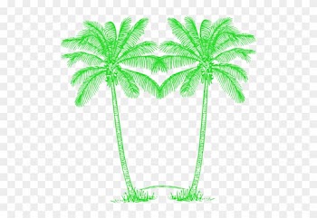 Double Green Palm Tree Image - Green Palm Tree Png