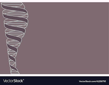 double helix