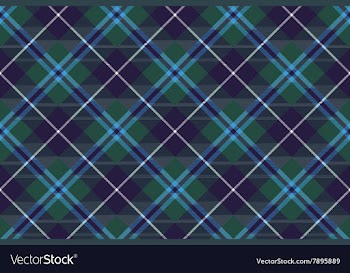  					Douglas tartan fabric texture seamless diagonal vector image														
