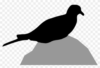 Dove Clipart, Vector Clip Art Online, Royalty Free - Morning Dove Silhouette