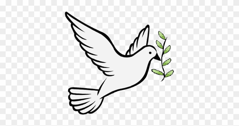 Dove Clipart With Transparent Background