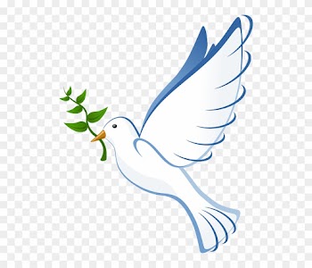 Dove, Flying, Peace, Olive, Branch, Symbol, Pigeon - Batak Christian Protestant Church