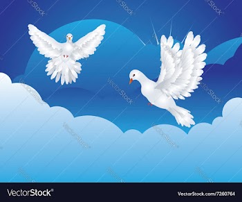Dove in the Sky3 vector image