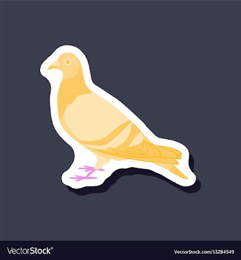 Dove paper sticker on stylish background vector image