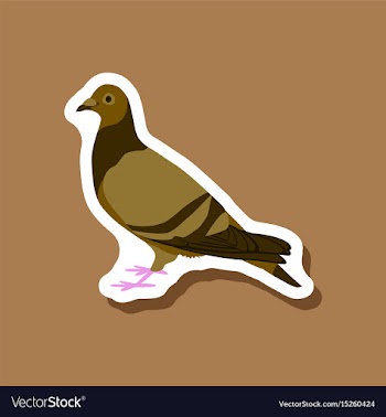 Dove paper sticker on stylish background vector image