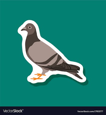 Dove paper sticker on stylish background vector image