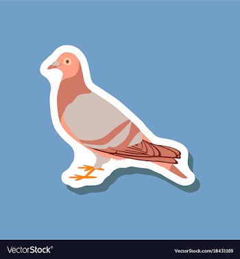 Dove paper sticker on stylish background vector image