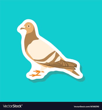 Dove paper sticker on stylish background vector image