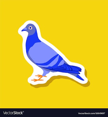 Dove paper sticker on stylish background vector image