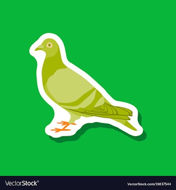 Dove paper sticker on stylish background vector image