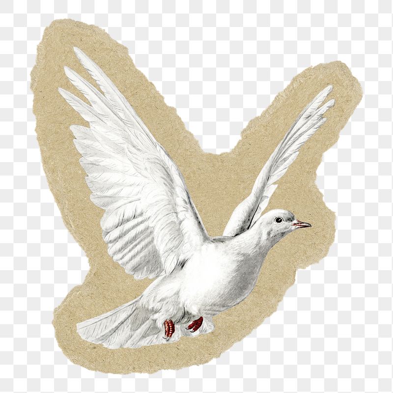 Dove png sticker, torn paper | Free PNG Illustration - rawpixel