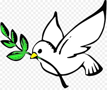 Doves As Symbols, Peace, Olive Branch, Leaf, White PNG