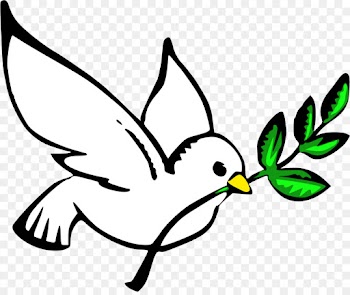 Doves As Symbols, Peace, Pigeons And Doves, Bird, Beak PNG