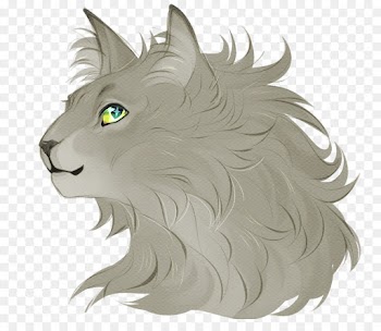 Dovewing, Ivypool, Warriors, Head, Cartoon PNG