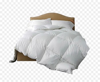 Down feather Pillow Duvet Comforter - Winter goose down is double 