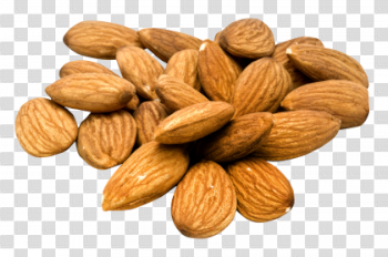 Download Almond PNG Pic 420×279 For Designing Projects