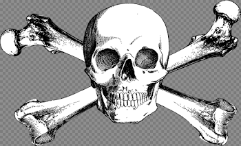 Download And Bones Drawing Skull Crossbones Free Download PNG HQ ...