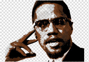 Download Autobiography African-American Civil Of Malcolm Rights ...