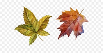 Download Autumn - Hand-painted autumn leaves 