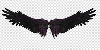Download Black Wings PNG Image for Free