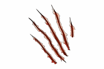 Download By Size - Transparent Background Claw Marks, Transparent ...