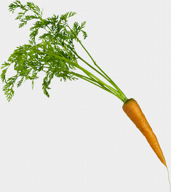 Download Carrot Png Image HQ PNG Image | FreePNGImg