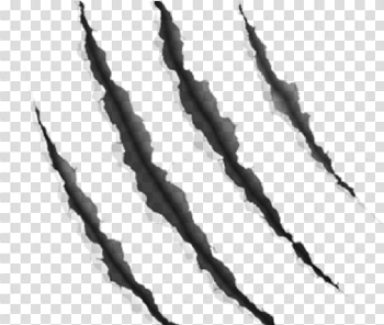 Download Claw Scratch Clipart Slashes - Claw Marks Transparent ...