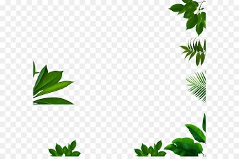 Download Clip art - All kinds of green leaf 