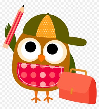 Download - Colorful Owls Birthday Banner Personalized Party Backdrop