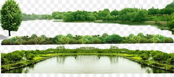 Download Computer file - Green Forest 