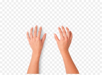 Download Computer file - Hands typing 
