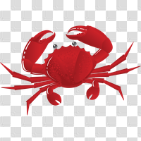 Download Crab Free PNG photo images and clipart | FreePNGImg
