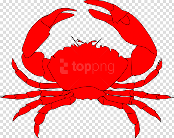 Download crab png images background | TOPpng