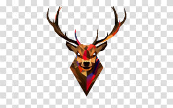 Download Deer Head Transparent Background 420×263