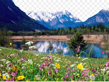 Download Display resolution High-definition video Wallpaper - German town charming scenery 