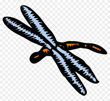 Download Dragonfly Clipart - Set Of 4 Dragonfly 1 25 Magnets Dragonflies Good Luck