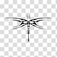 Download Dragonfly Tattoos Png HQ PNG Image | FreePNGImg