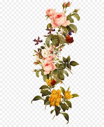 Download Flower - Beautiful flowers 