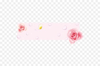 Download Flower Clip art - Delicate floral decorative borders 