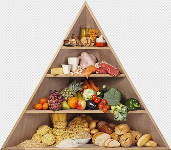 Download Food Pyramid Png - Food Pyramid Without Words PNG Image ...