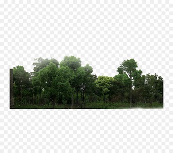 Download Forest Green - forest 