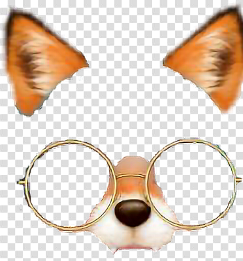 Download Fox Foxfilter Glasses Filter - Snow Filters Png - Full ...