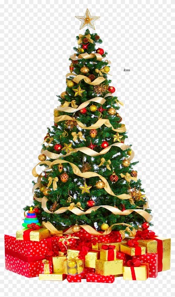 Download Free Photo Report - Christmas Tree Gif Animation
