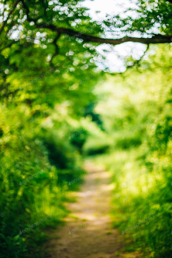 Download Free png Bokeh PNG HD - DLPNG.com