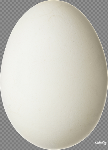 Download Free png Egg PNG image, Download PNG image with ...