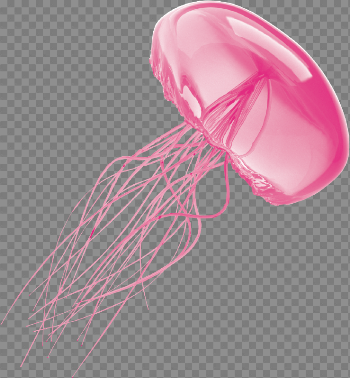 Download Free png Jellyfish Transparent Background - DLPNG.com