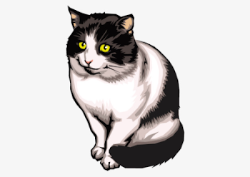 Download Free png Le chat noir et blanc de vect - DLPNG.com