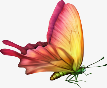 Download Free png Painted Butterfly HD, Hd, Pai - DLPNG.com