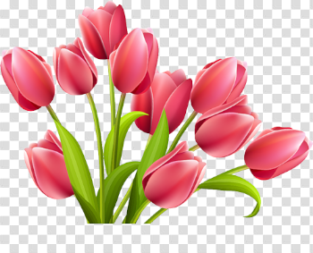 Download Free png Pink Tulips PNG - DLPNG.com